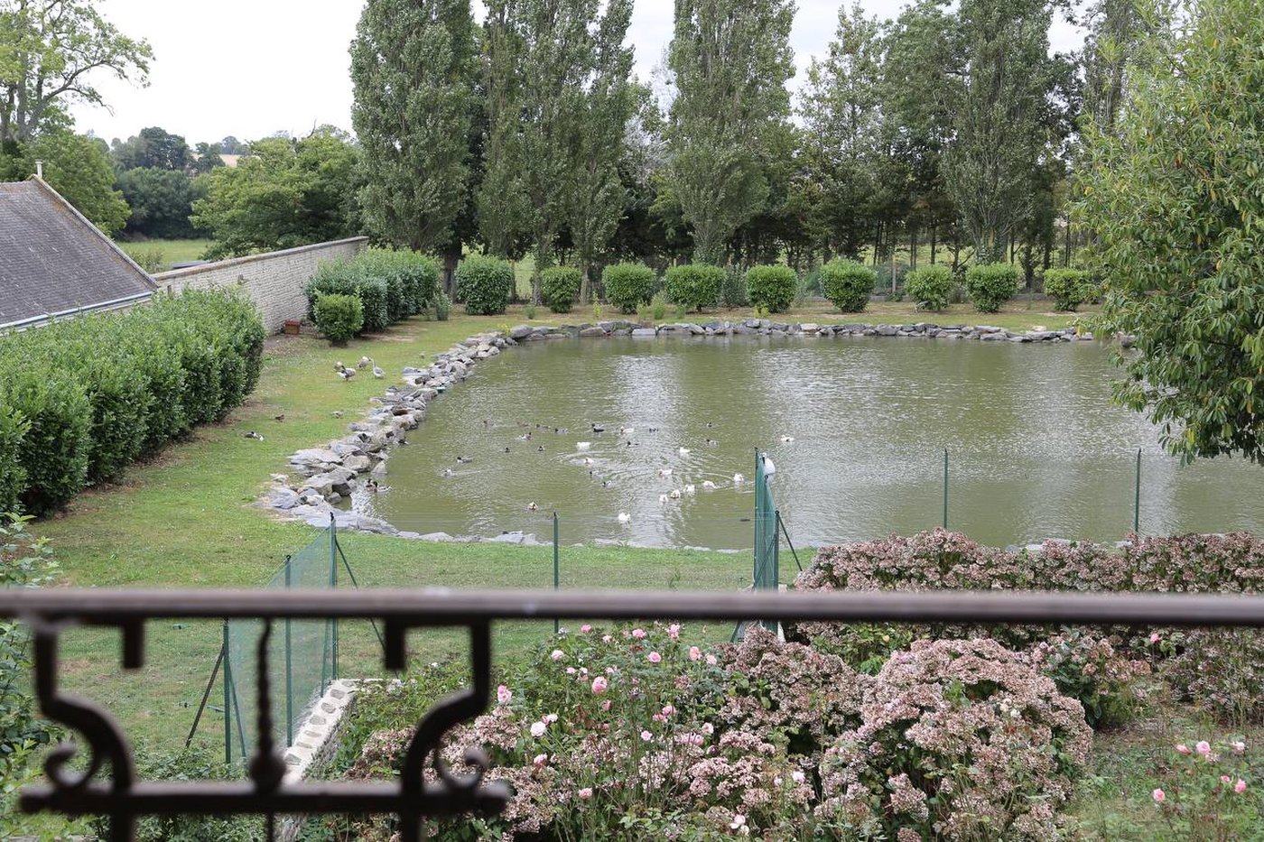 Chambre Deluxe — la vue sur l'étang depuis le balcon