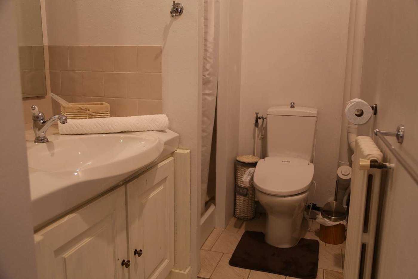 La salle d'eau : lavabo et toilettes