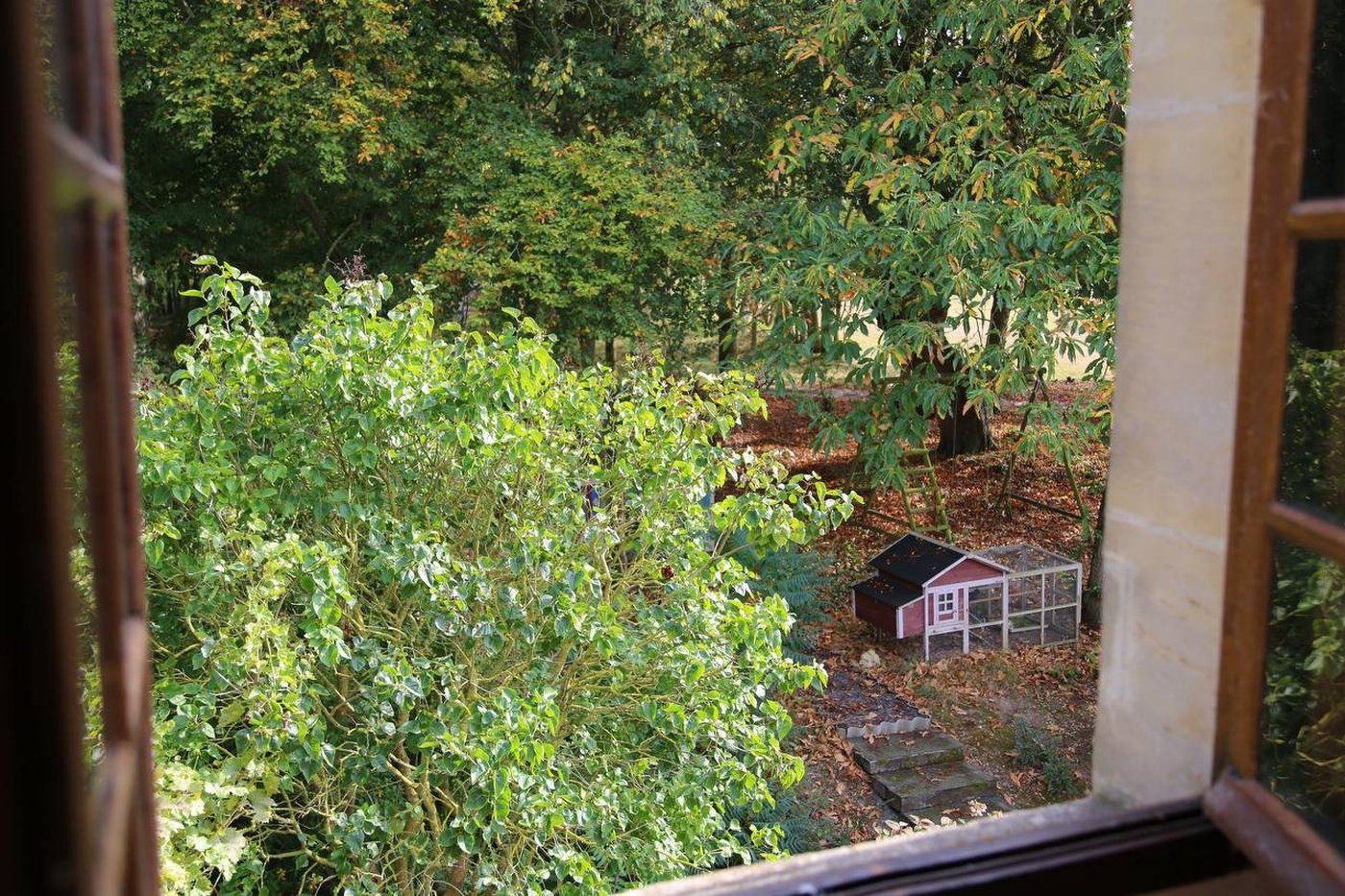Le parc vu depuis une fenêtre