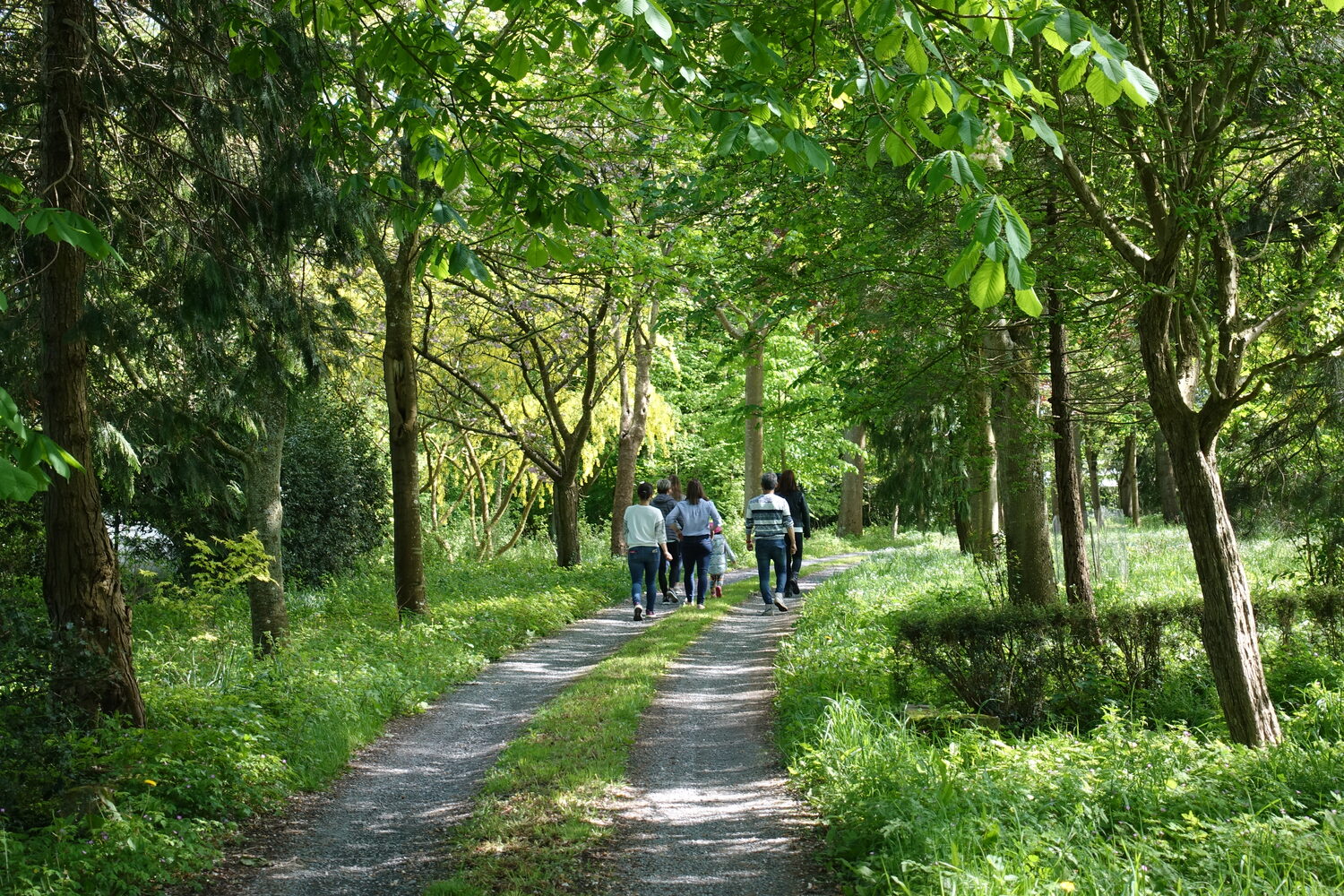 Promenade dans les bois du domaine