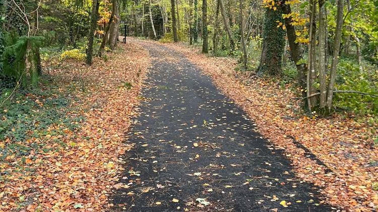 L'allée sous les feuilles d'automne