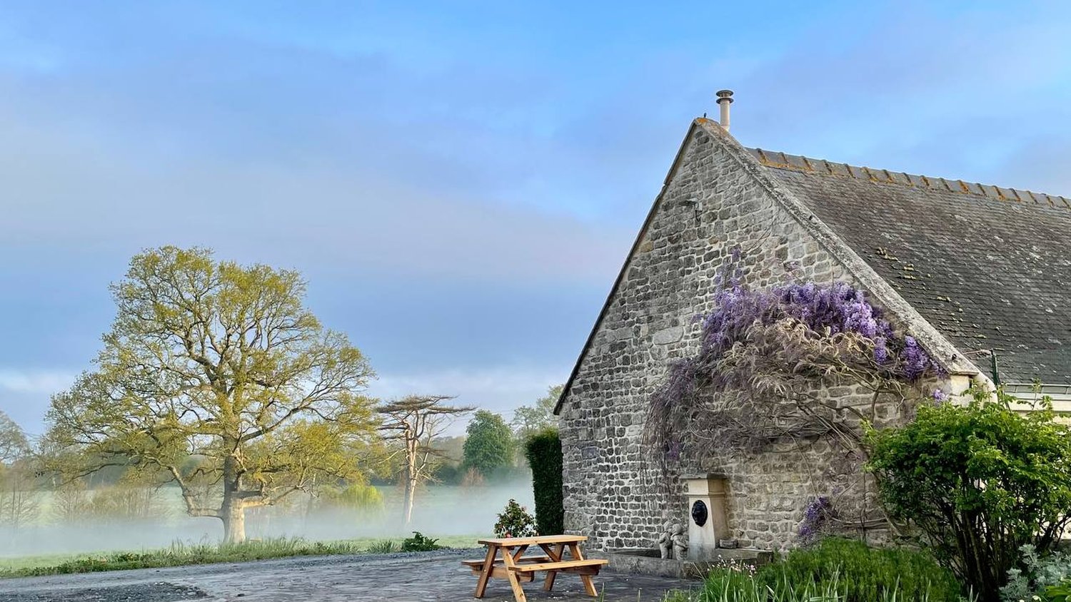 La glycine sur le pignon de l'annexe, un matin de brume