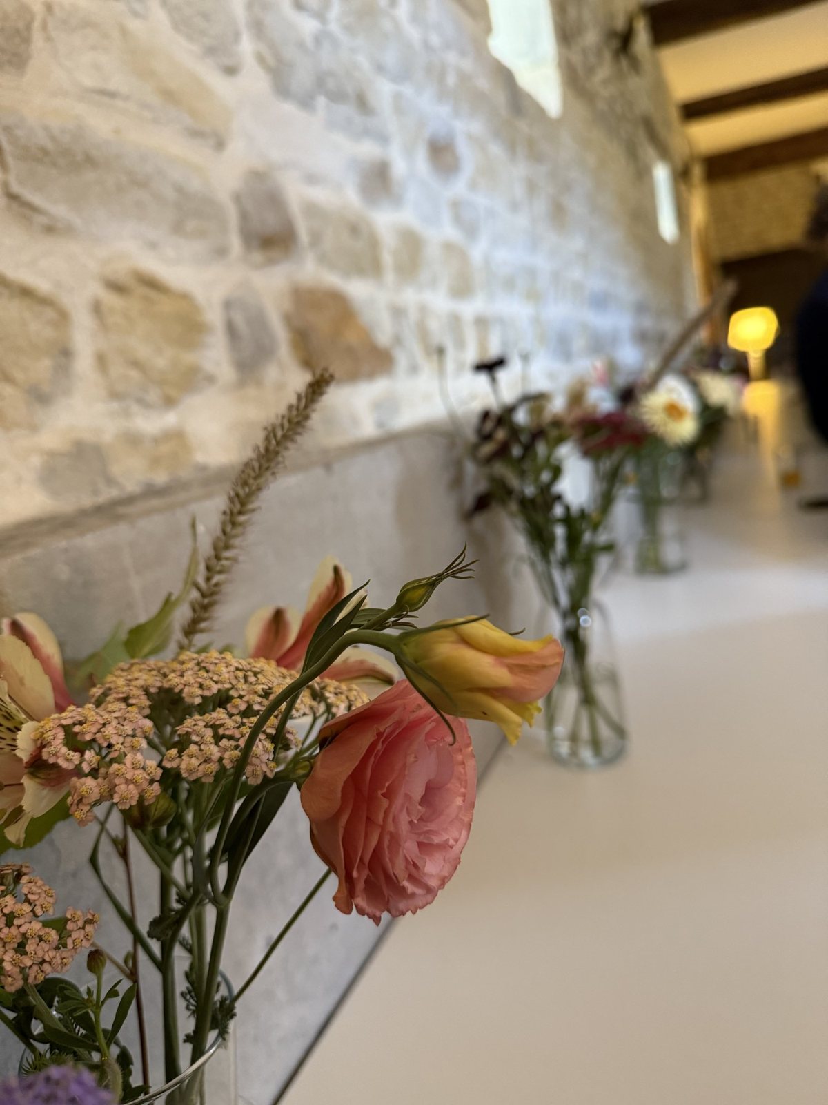 Des soliflores alignés sur l'appui de fenêtre